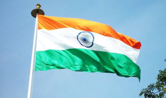 Индия заставила Amazon изъять из продажи половики с флагом
